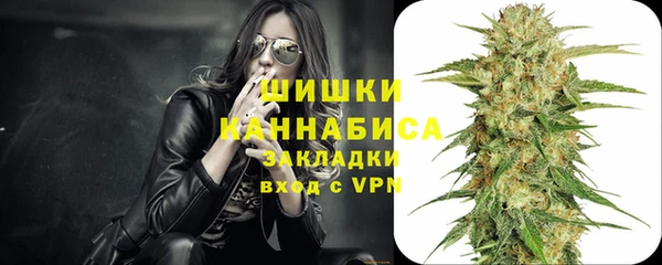 винт Богданович