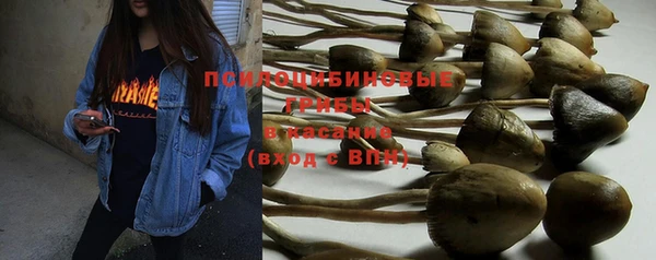 винт Богданович