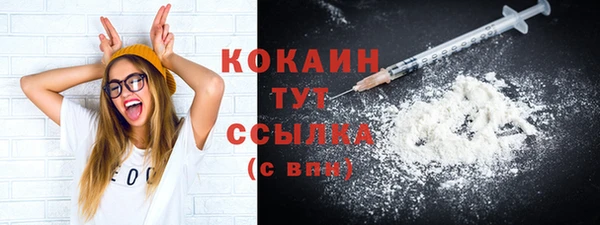 винт Богданович